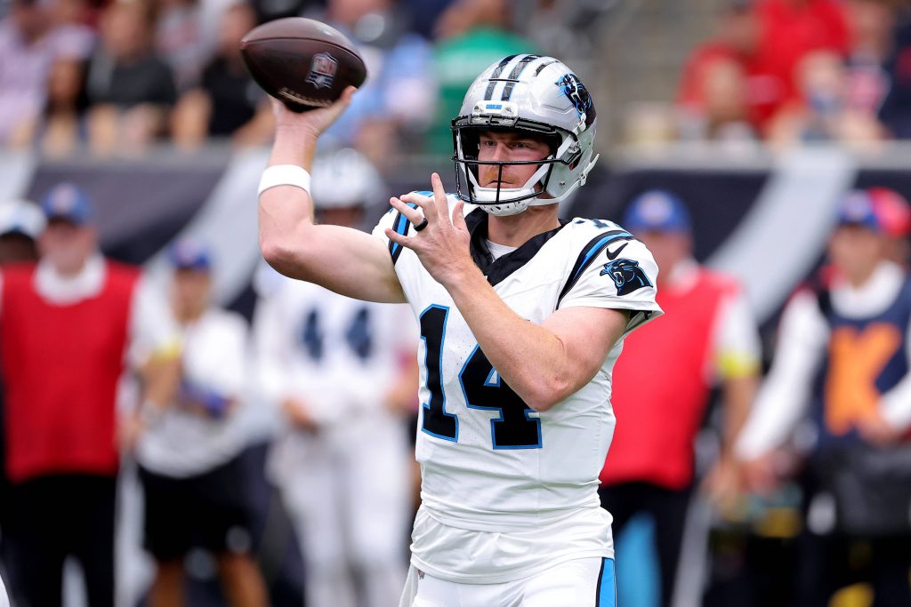 Andy Dalton #14 (Carolina Panthers)